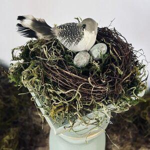 Bird Nest Duck Egg Blue Pedestal Decor French Country Spring Cottage Tabletop